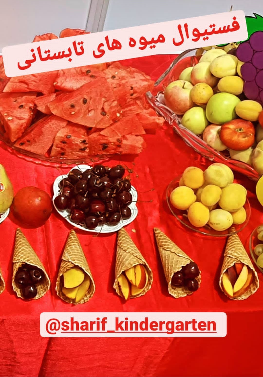 فعالیت های آموزشی